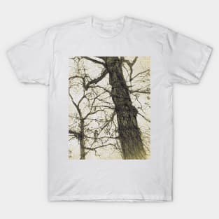Trees 81 by Kristalin Davis T-Shirt